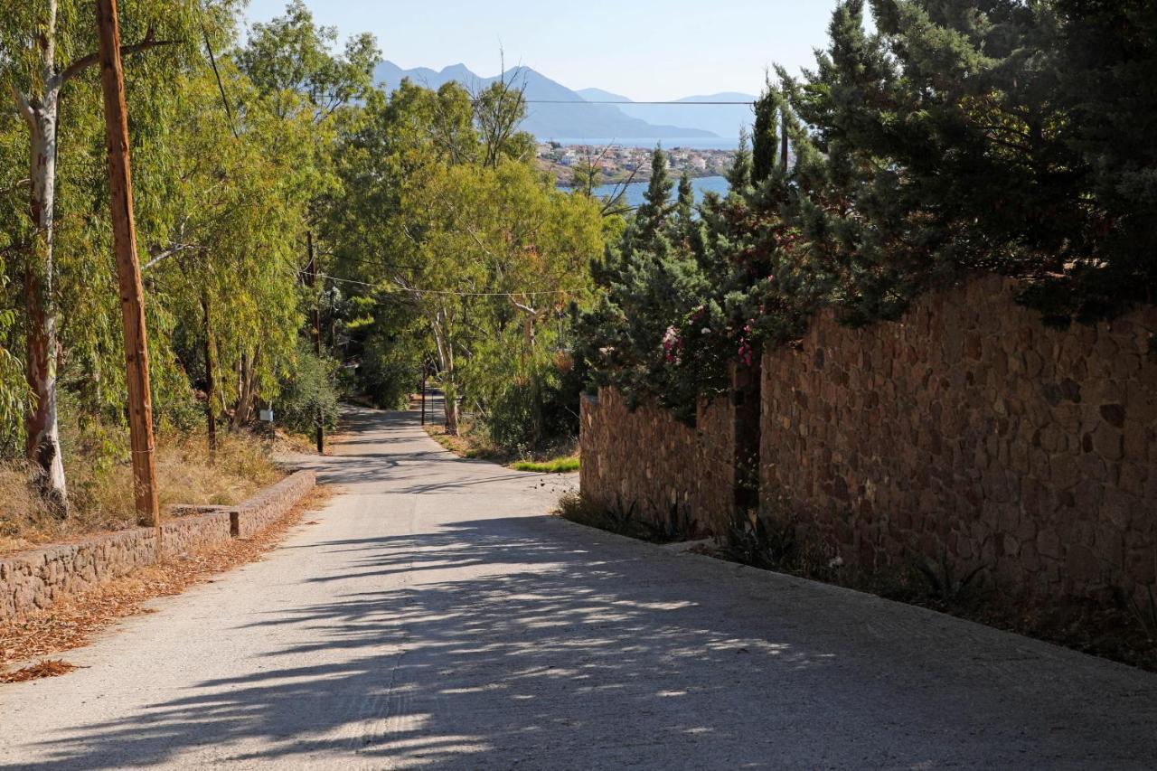 Eucalyptus Villa Aegina Exterior photo